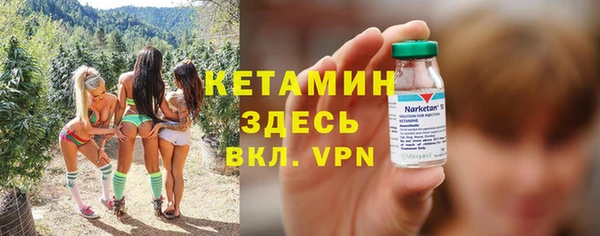индика Горнозаводск