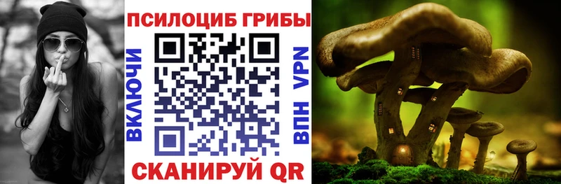 Галлюциногенные грибы GOLDEN TEACHER  даркнет сайт  Йошкар-Ола 