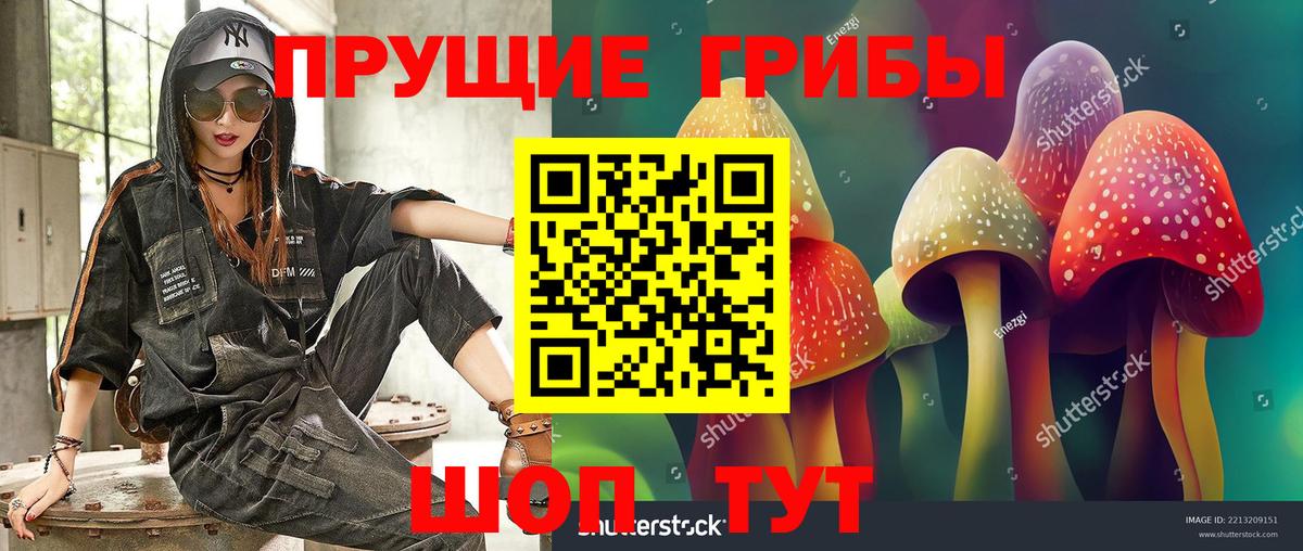 Псилоцибиновые грибы GOLDEN TEACHER Йошкар-Ола