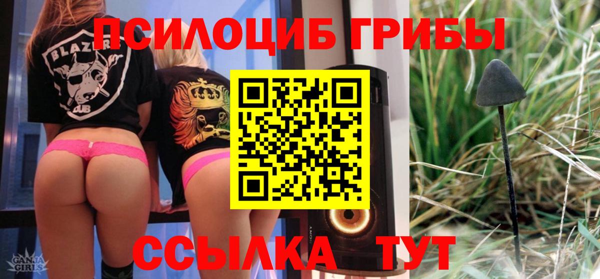 Псилоцибиновые грибы Magic Shrooms  Йошкар-Ола 